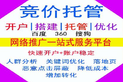网络推广竞价策略解析与应用案例